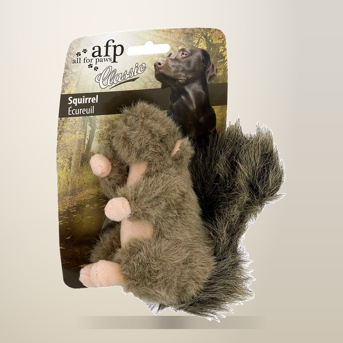All For Paws Classic Squirrel Plush Dog Toy, on a plain cream background