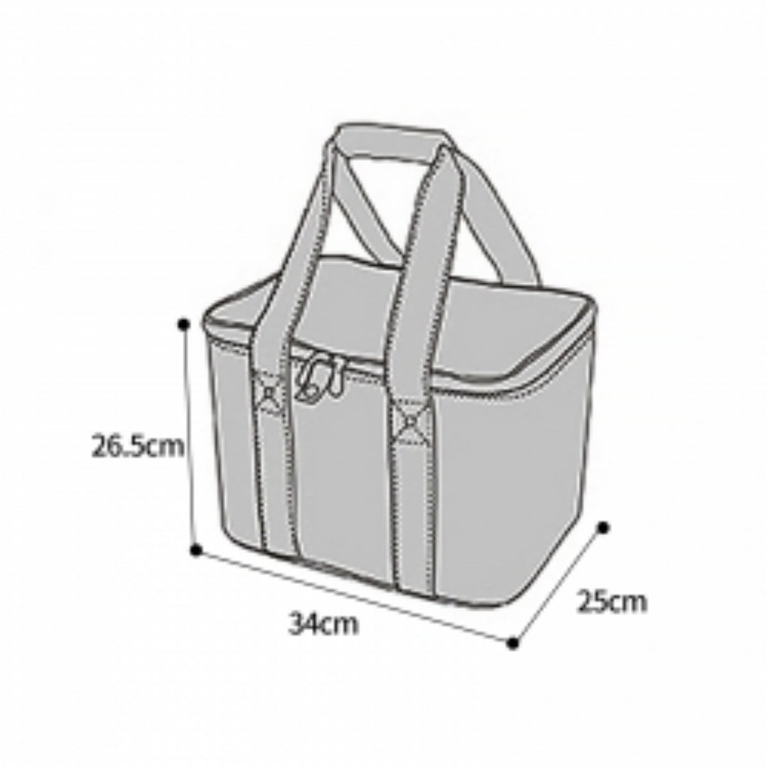 Insulated Picnic Cooler Bag, 23 L