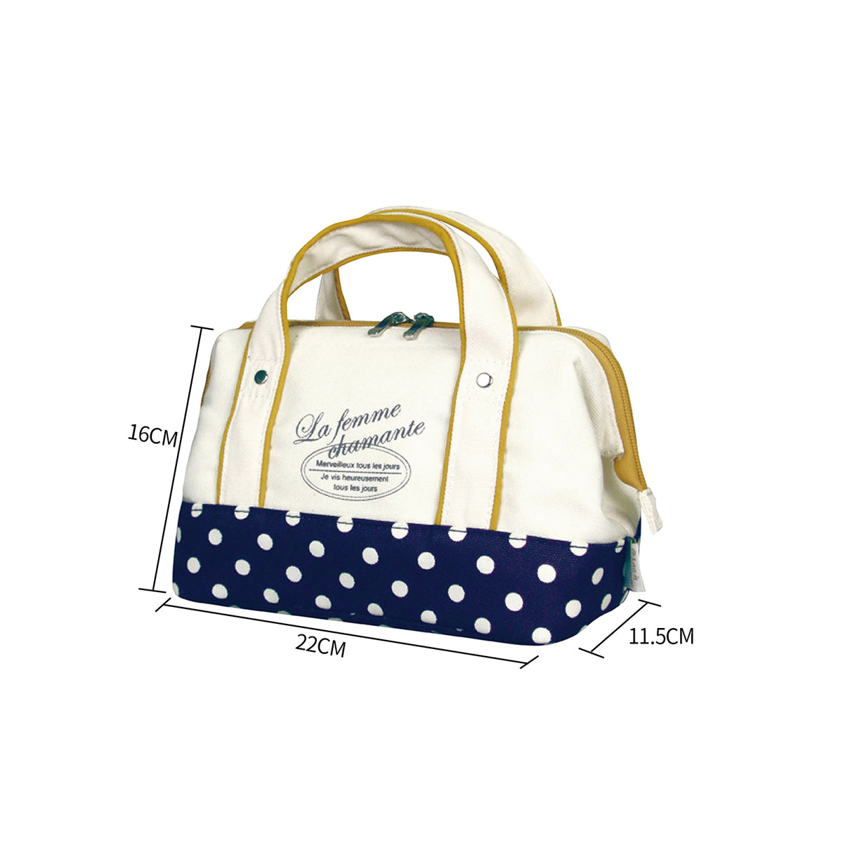 Insulated Lunch Cooler Case, 22 x 11.5 x 16 cm