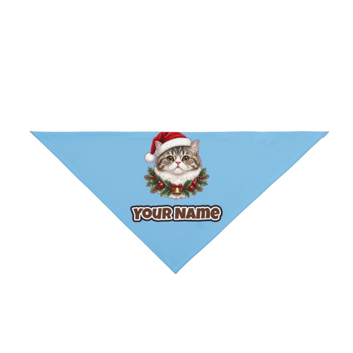 Exotic Shorthair personalised Christmas pet bandana in sky blue, tie-on style