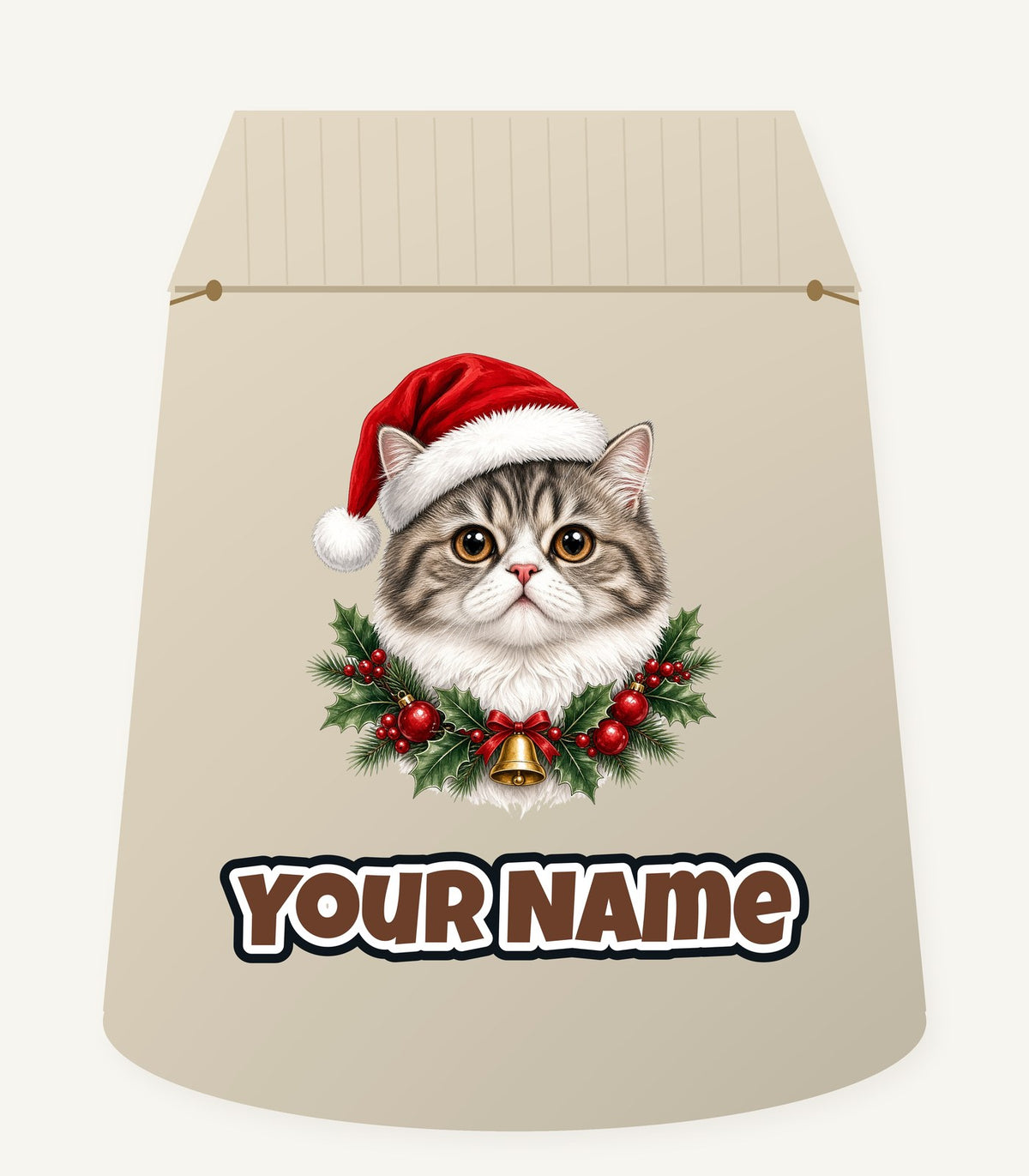 Exotic Shorthair Christmas Personalised Santa Sack