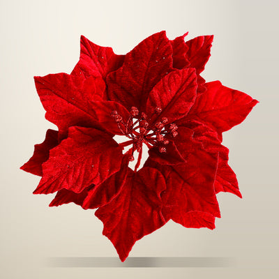 Jingle Jollys 14 Piece Christmas Poinsettia Set, Red
