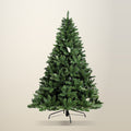 Jingle Jollys 2.1 m Green Christmas Tree, 905 Tips, on a plain cream background