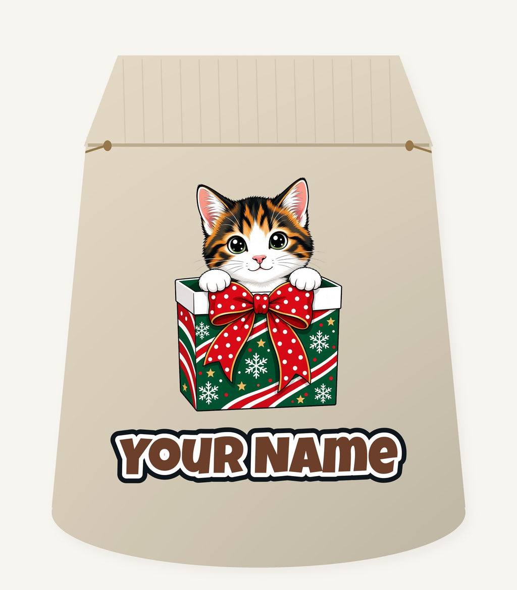 Kitten in a Gift Box Personalised Santa Sack