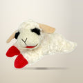 Aimall Lamb Plush Squeaky Dog Toy, White, on a plain cream background