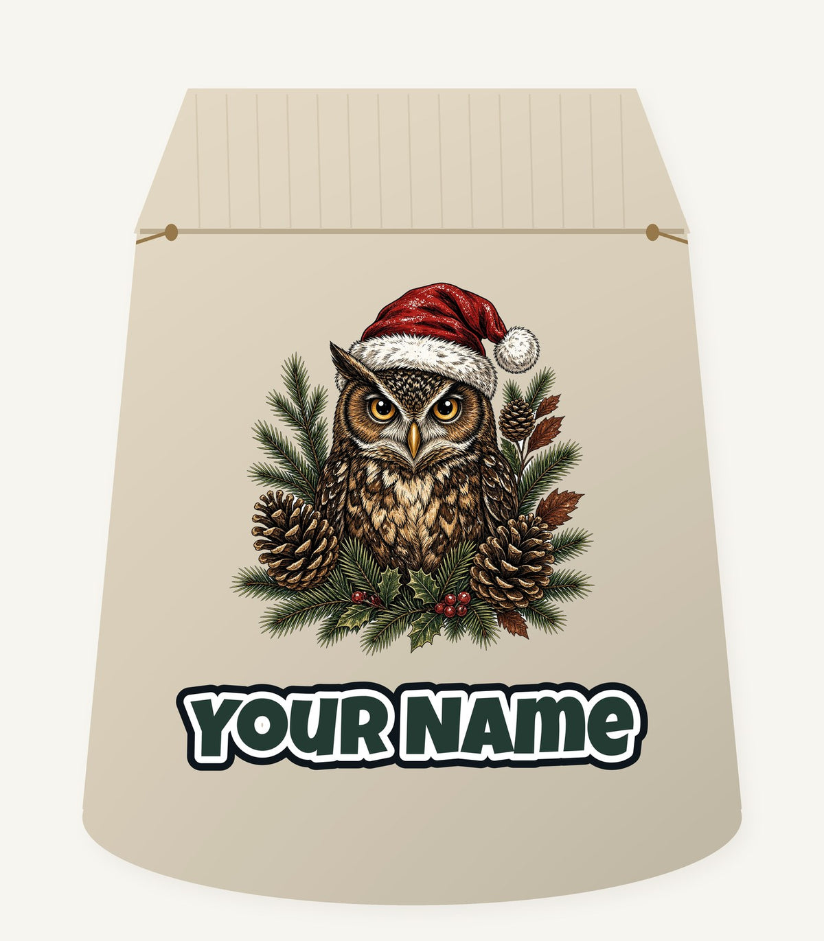 Owl in Santa Hat Personalised Santa Sack