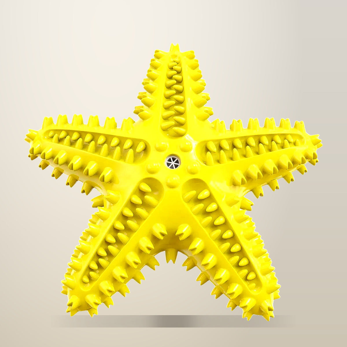Floating Squeaky Starfish Dog Toy, Green or Blue, on a plain cream background