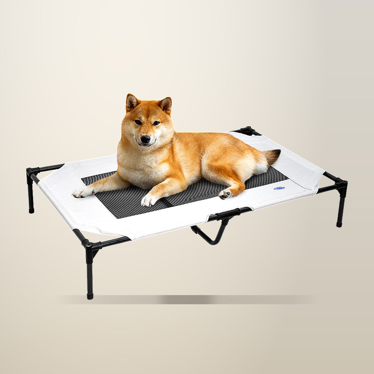 Alston Elevated Dog Bed, Large, 100 kg Capacity, Grey, on a plain cream background