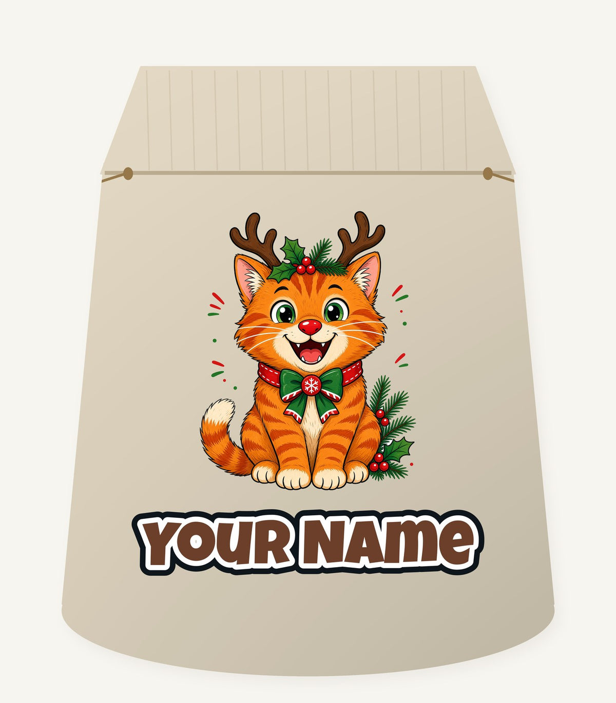 Reindeer Antler Cat Personalised Santa Sack
