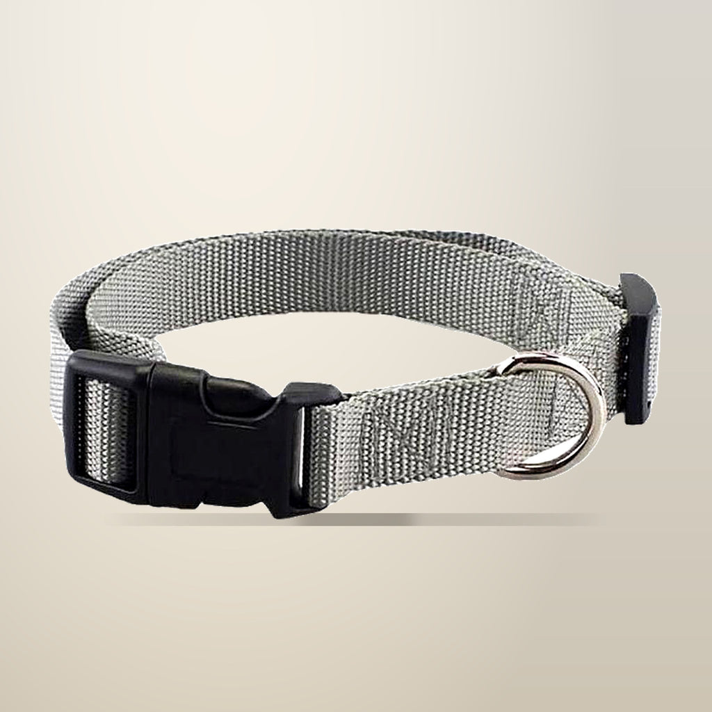 Small Adjustable Nylon Dog Collar, 30 to 45 cm, on a plain cream background