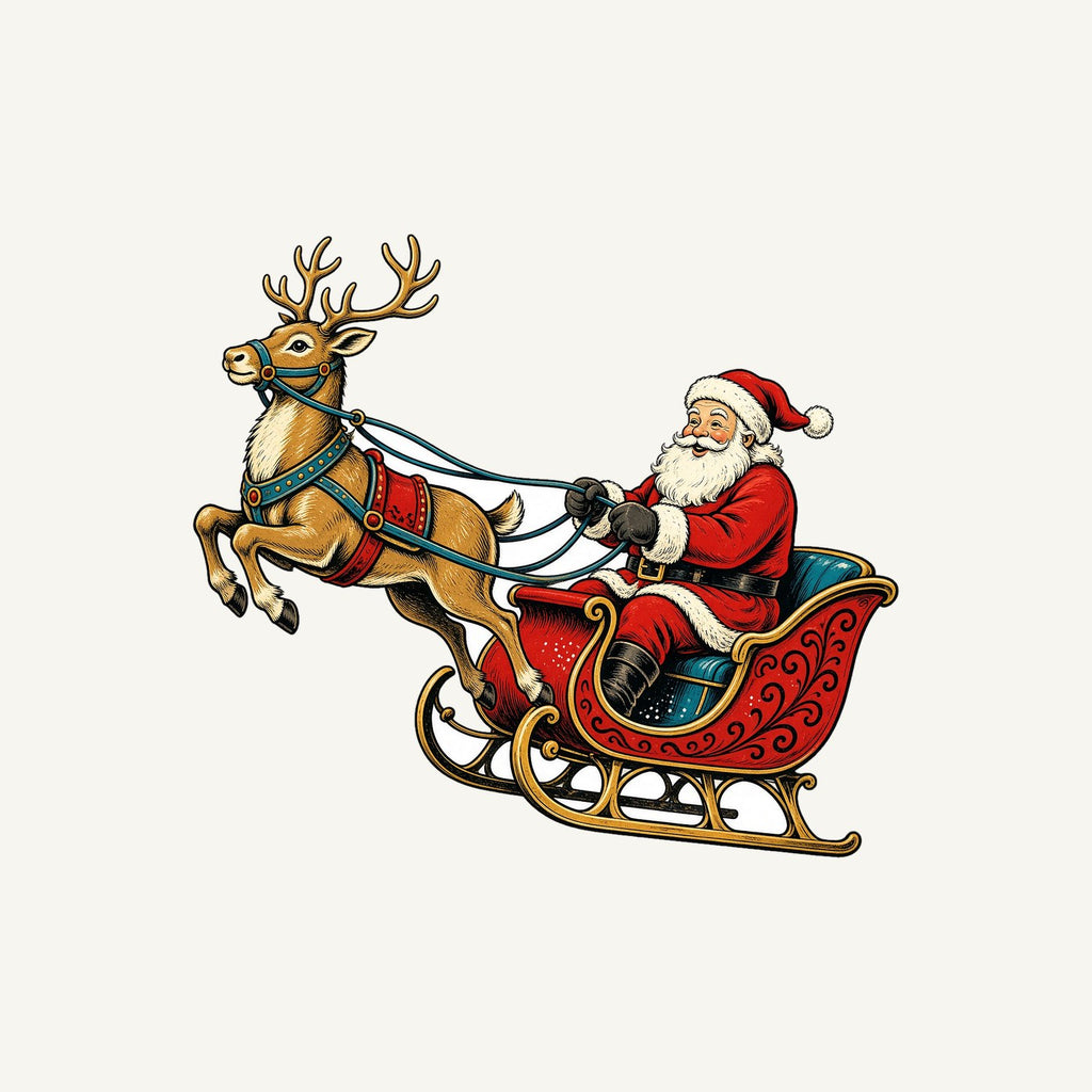 Santa's Sleigh and Reindeer Personalised Christmas T-Shirt and Hoodie