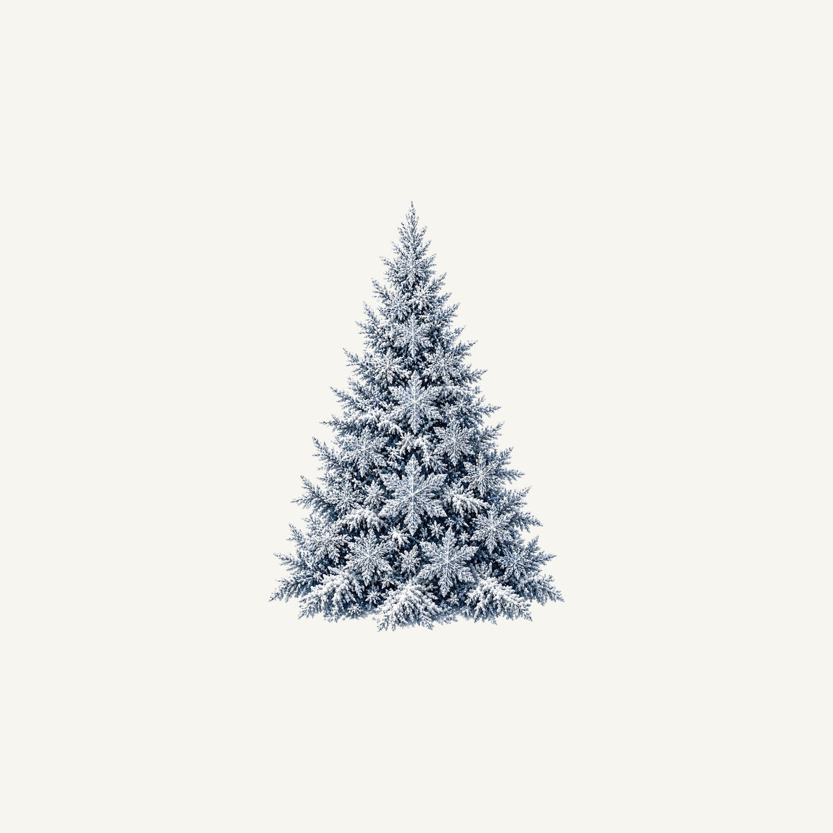 Snow Dusted Blue Spruce Personalised Christmas Mug