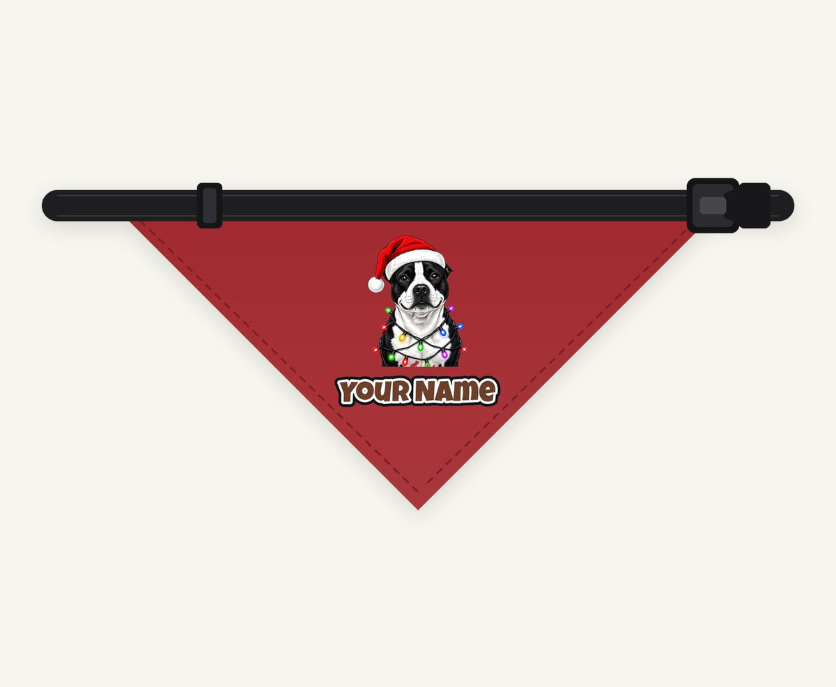 Staffy in Christmas Lights personalised Christmas pet bandana collar with buckle